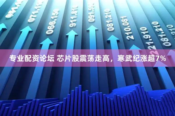 专业配资论坛 芯片股震荡走高，寒武纪涨超7%